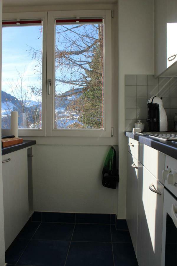 The Engstligen Lejlighed Adelboden Eksteriør billede