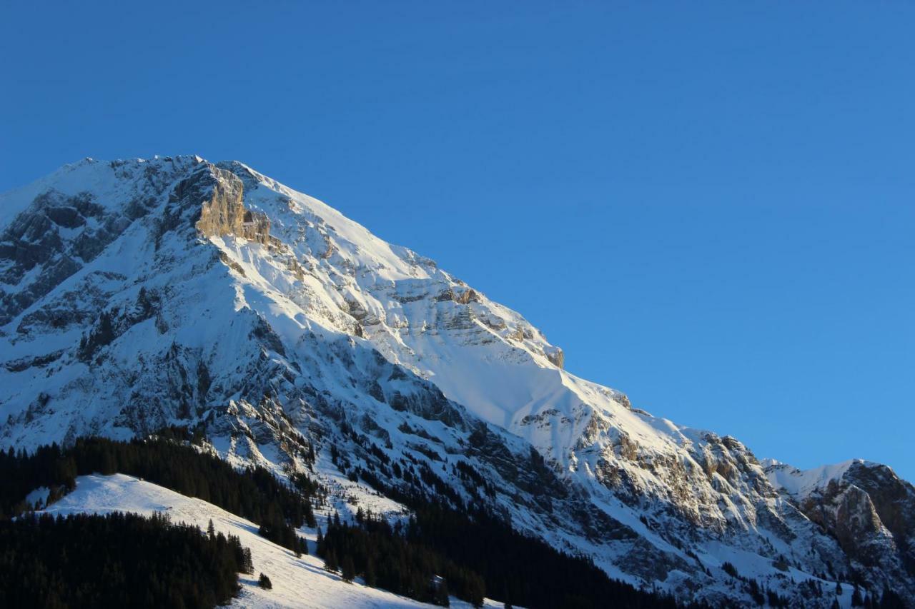 The Engstligen Lejlighed Adelboden Eksteriør billede