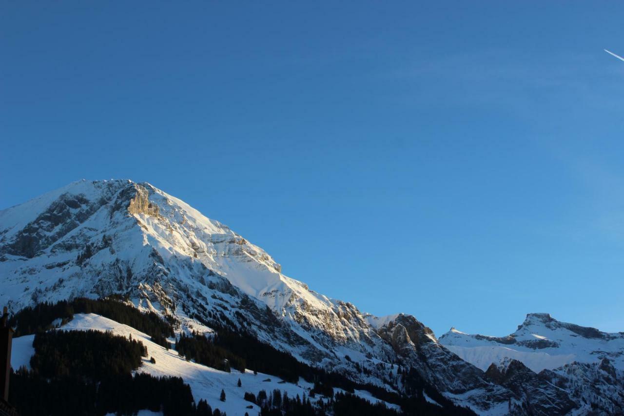 The Engstligen Lejlighed Adelboden Eksteriør billede